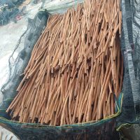 WhatsApp Image 2025-06-09 at 09.58.15